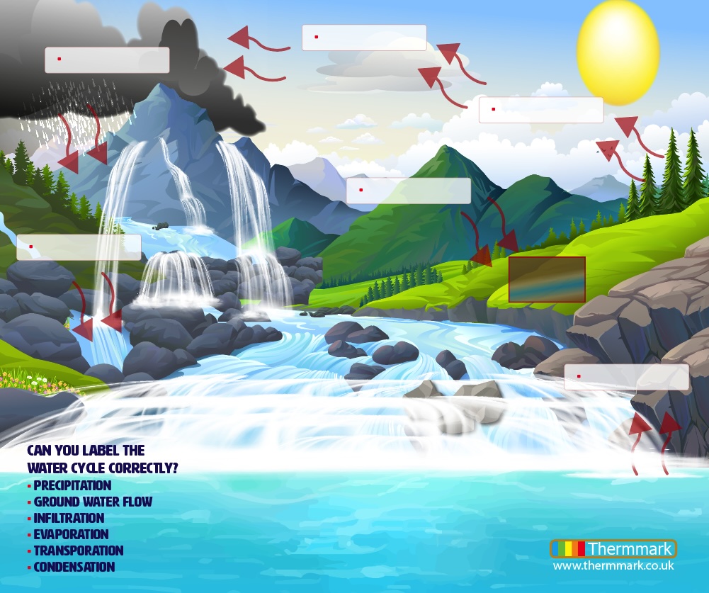 Water Cycle Wall Panel