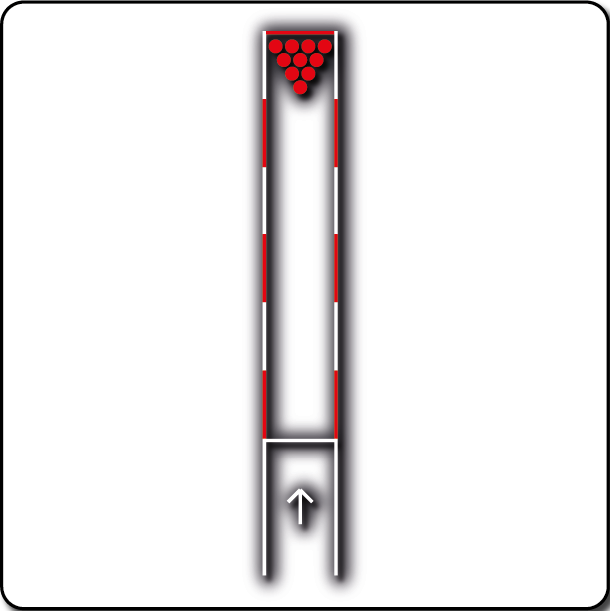 [TMG011] Ten Pin Bowling