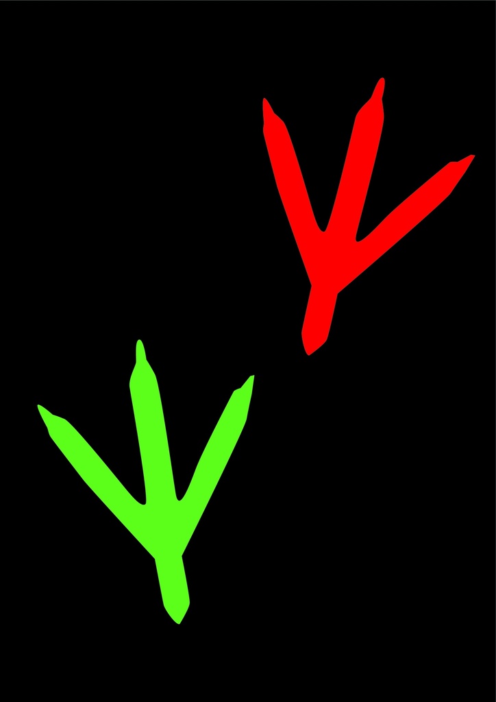 [TMPBI300-MC] Bird Print 300mm Mixed Colours