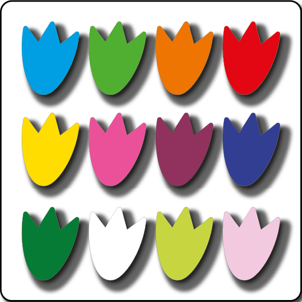 [TMPDI300-MC] Dino Print 300mm Mixed Colours