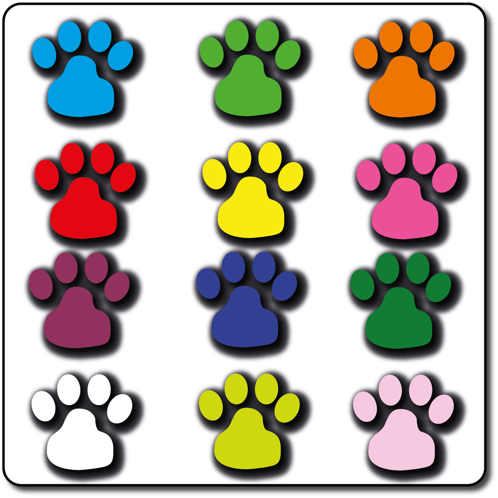 Paw Print 300mm Mixed Colours