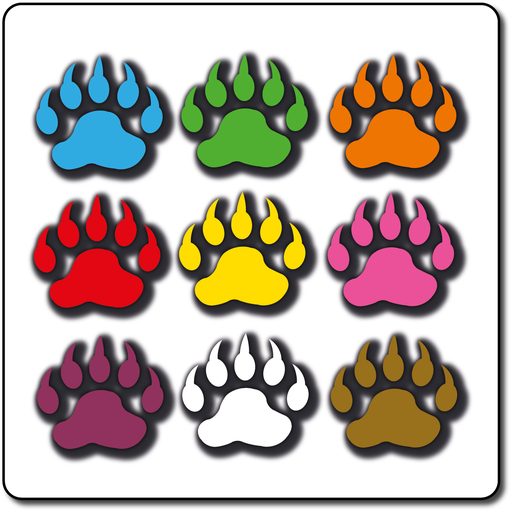 [TMPB300-MC] Bear Print 300mm Mixed Colours