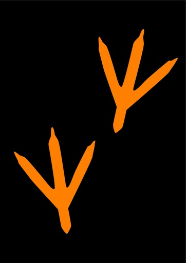 [TMPBI300-O] Bird Print 300mm Orange